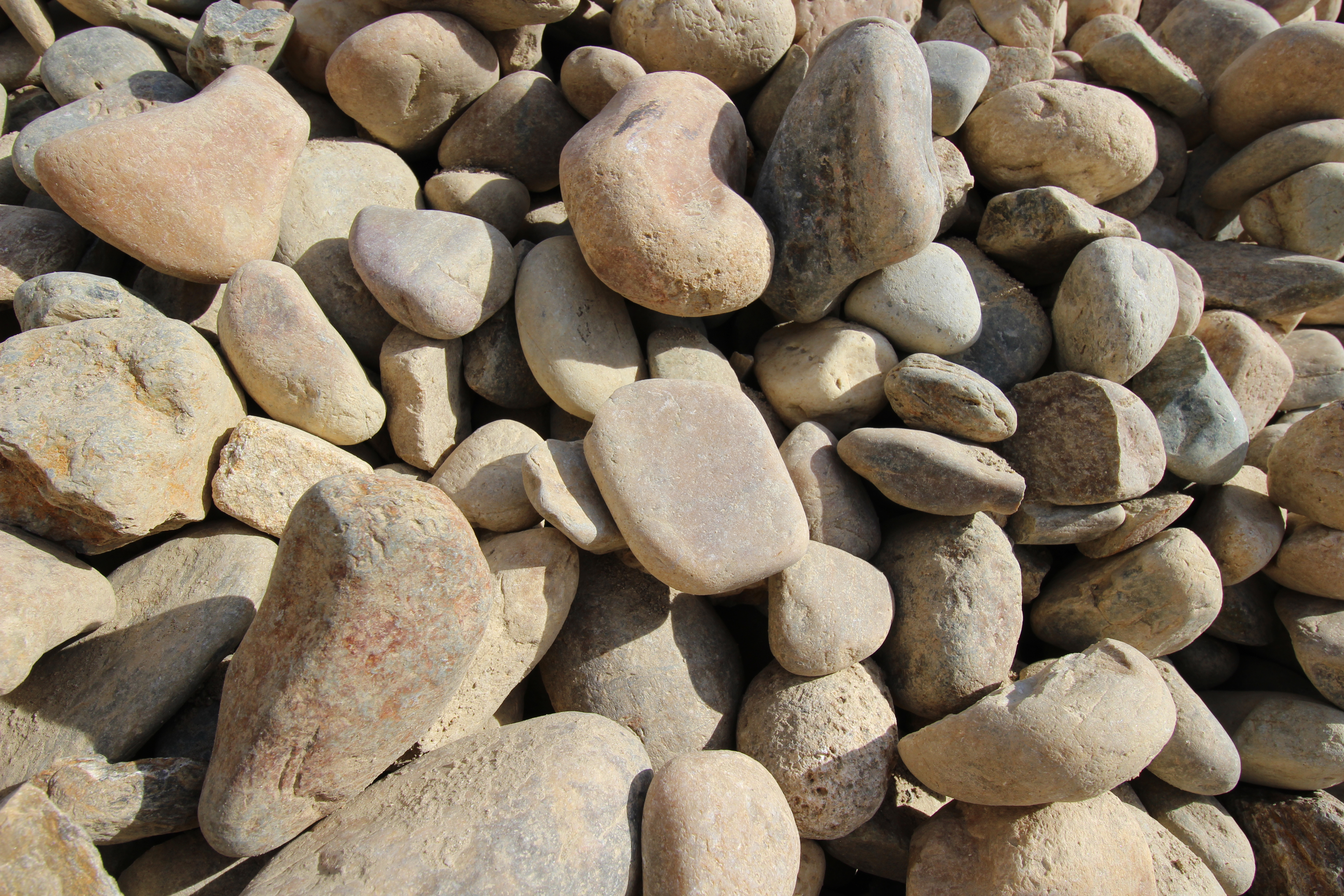 2x4 Gold Country Cobble