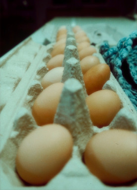04eggbounty7.JPG