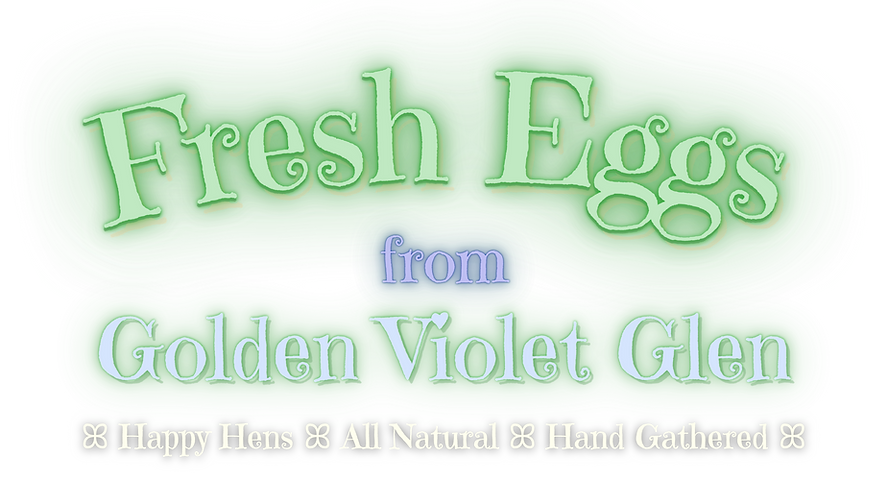 FreshEggsBanner.png
