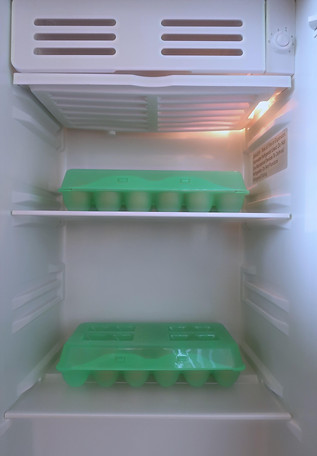 EggFridgeInternals.jpg