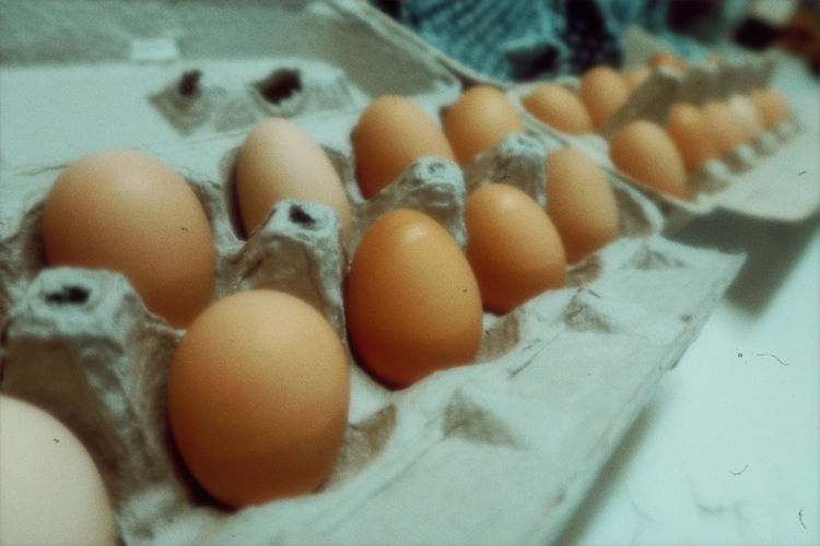 04eggbounty6.JPG
