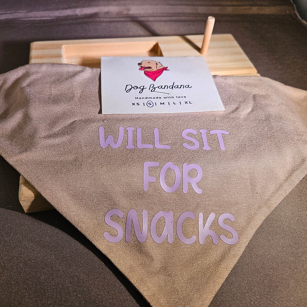 Bandana S
