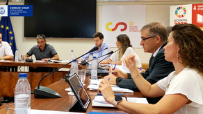 El CSD ya tiene un primer borrador de Ley de Ordenación de Profesionales del Deporte