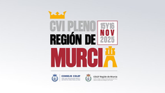 Presencia de COLEFNA en el 106.º Pleno del Consejo COLEF