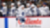 Maple Leafs Make Lineup Changes Ahead of Game with the Panthers