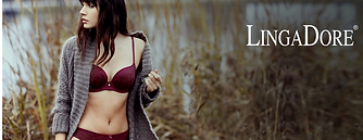 Screenshot 2022-08-16 at 14-03-29 Vente privée de lingerie LingaDore pour le jour et la nu