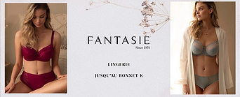 Screenshot 2022-08-16 at 14-02-58 Fantasie lingerie 3 SUISSES.png