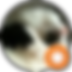 daniela.png