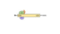 mRNA translation initation and elongation is regulated by the clock