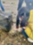 IMG_0338.jpeg