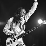 The Transcriptions - Verdine White.jpeg