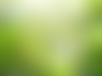 Navigating the ISO 14001 Certification Auditing Process in Pakistan