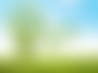 Maximizing Environmental Excellence: A Comprehensive Guide to ISO 14001 Internal Audits
