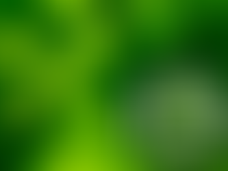 The Role of Leadership in Driving ISO 14001 Environmental Excellence in Pakistan
