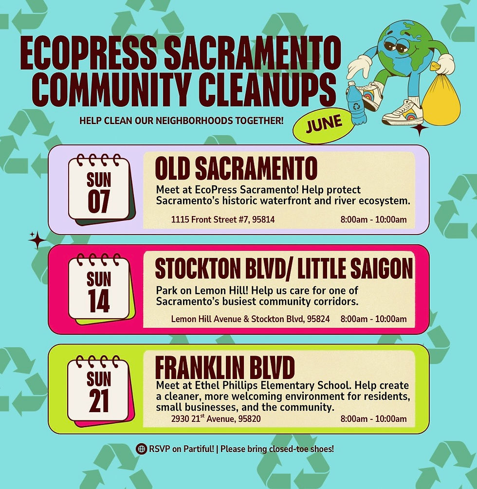 Stockton Blvd/Little Saigon Cleanup