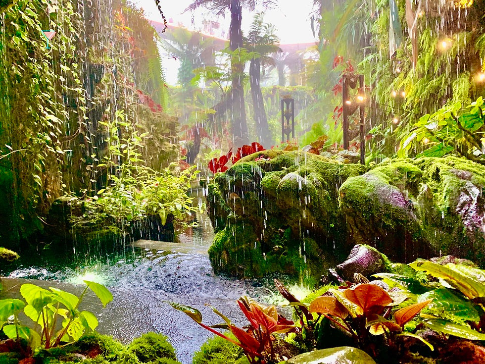 Thumbnail: 클라우드 포레스트 실내