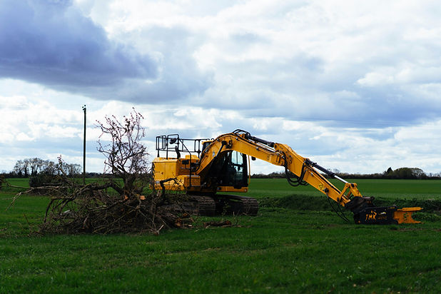 land clearing Spring Mount