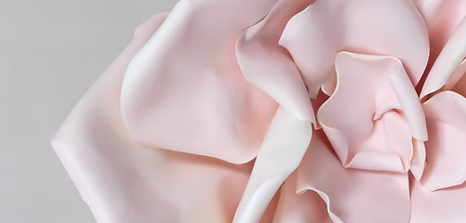 3D Pink Flower  