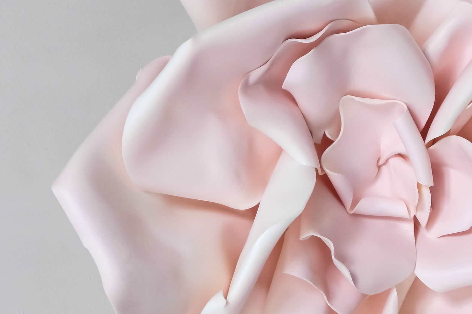 3D Pink Flower  