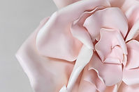 3D Pink Flower