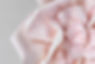 3D Pink Flower