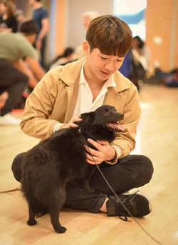 Schipperke TINKER