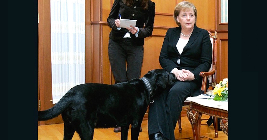 Why Do Dogs Like To Sniff Crotches? Vancouver ecoVillage