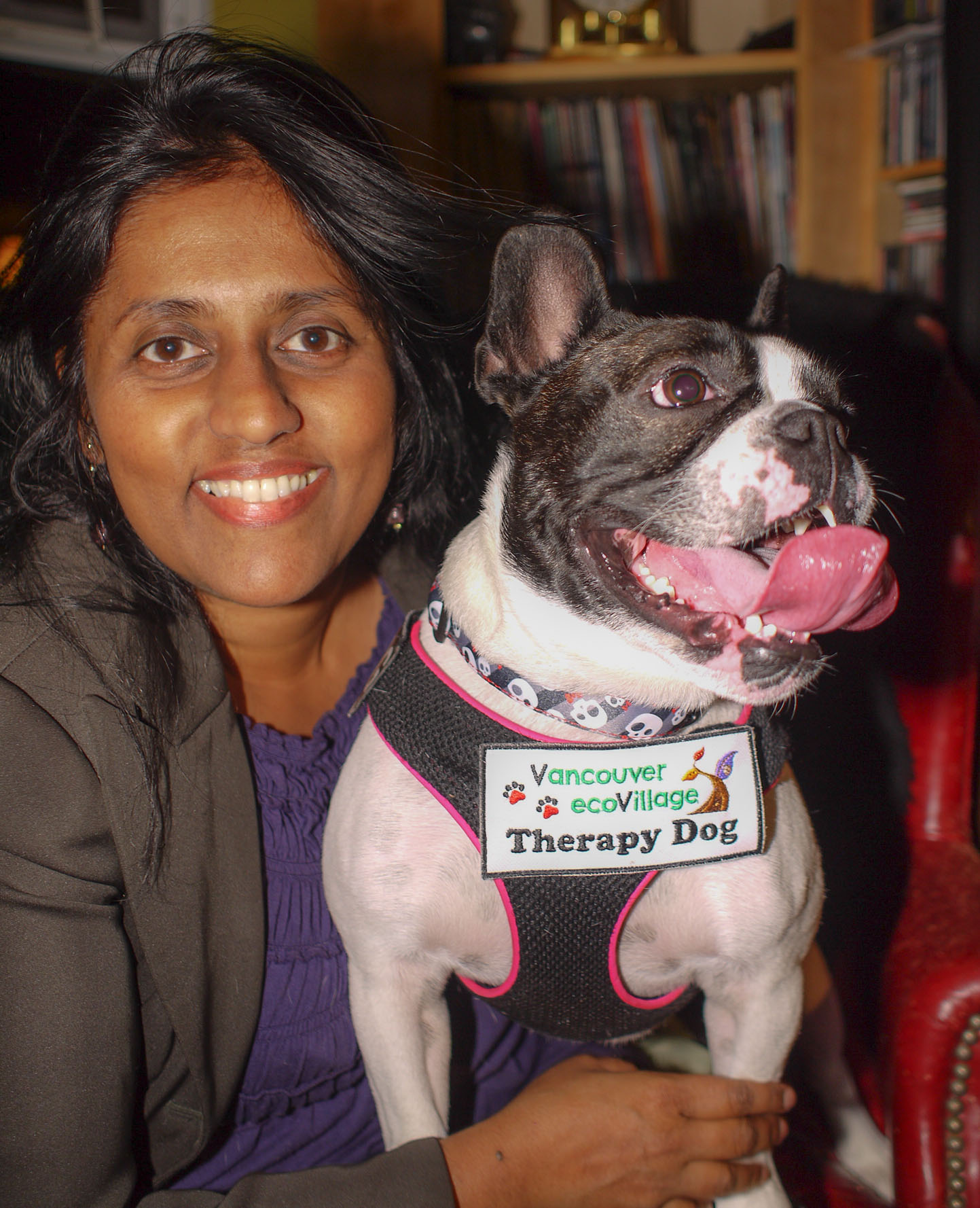Vita (French Bulldog)