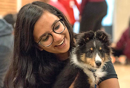 UBC Pet-a-Pup