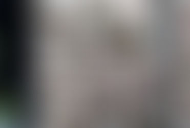 Semana Deportiva: Las Águilas se acercan a la cima