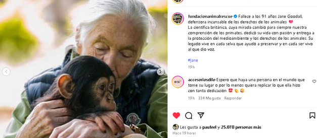 Jane Goodall, la icónica etóloga y activista defensora de la fauna silvestre, fallece a los 91 años
