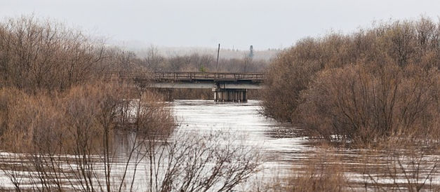 Las noticias de economía del 25Jun en Venezuela