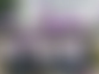 Liberado un grupo de presos políticos este 1 de enero