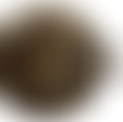 Google Doodle celebrates Mary Seacole