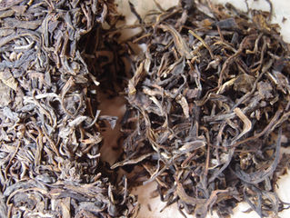 Puer is on the list!