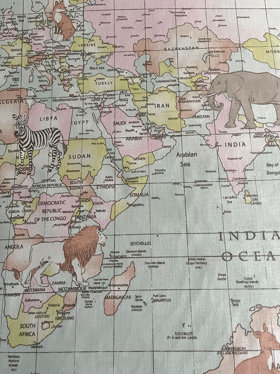 Animal Planet - Duck Egg