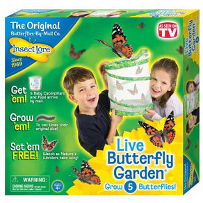Amazon: $11.81 For A Live Butterfly Garden!