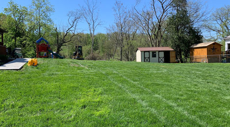 Before | Pool Dig