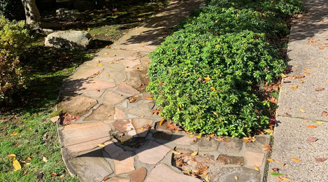 Before | Sidewalk