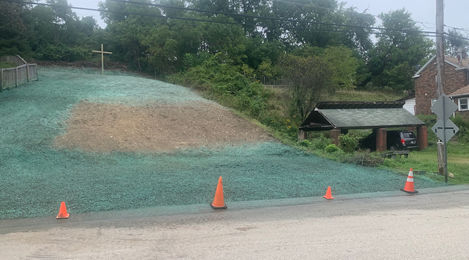 During | Hydroseed