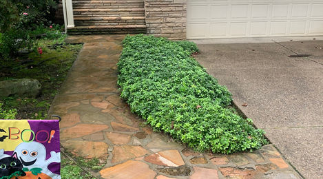 Before | Sidewalk