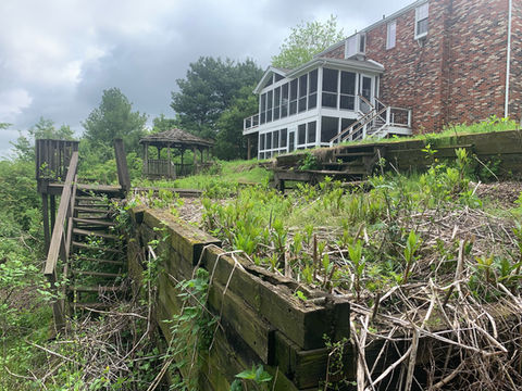Cleanup and Hydroseeding Before.jpeg