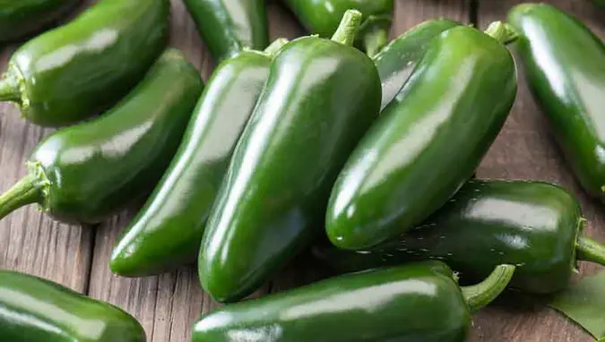 Early Jalapeno