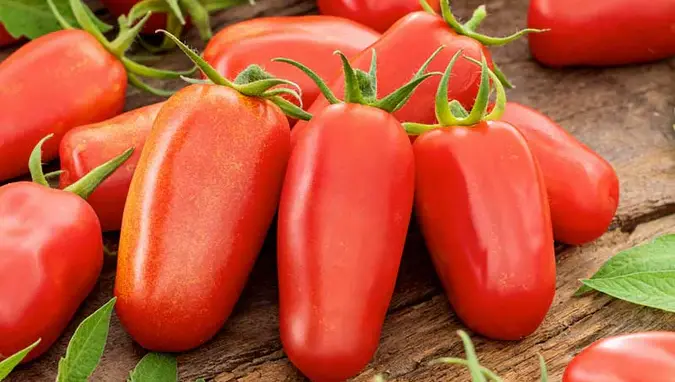 San Marzano