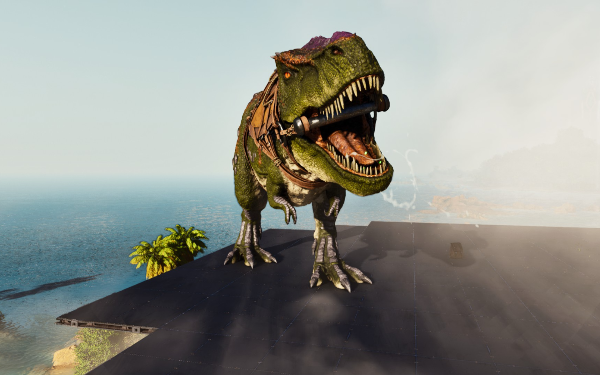 Rex  [Small Tribes Cross]