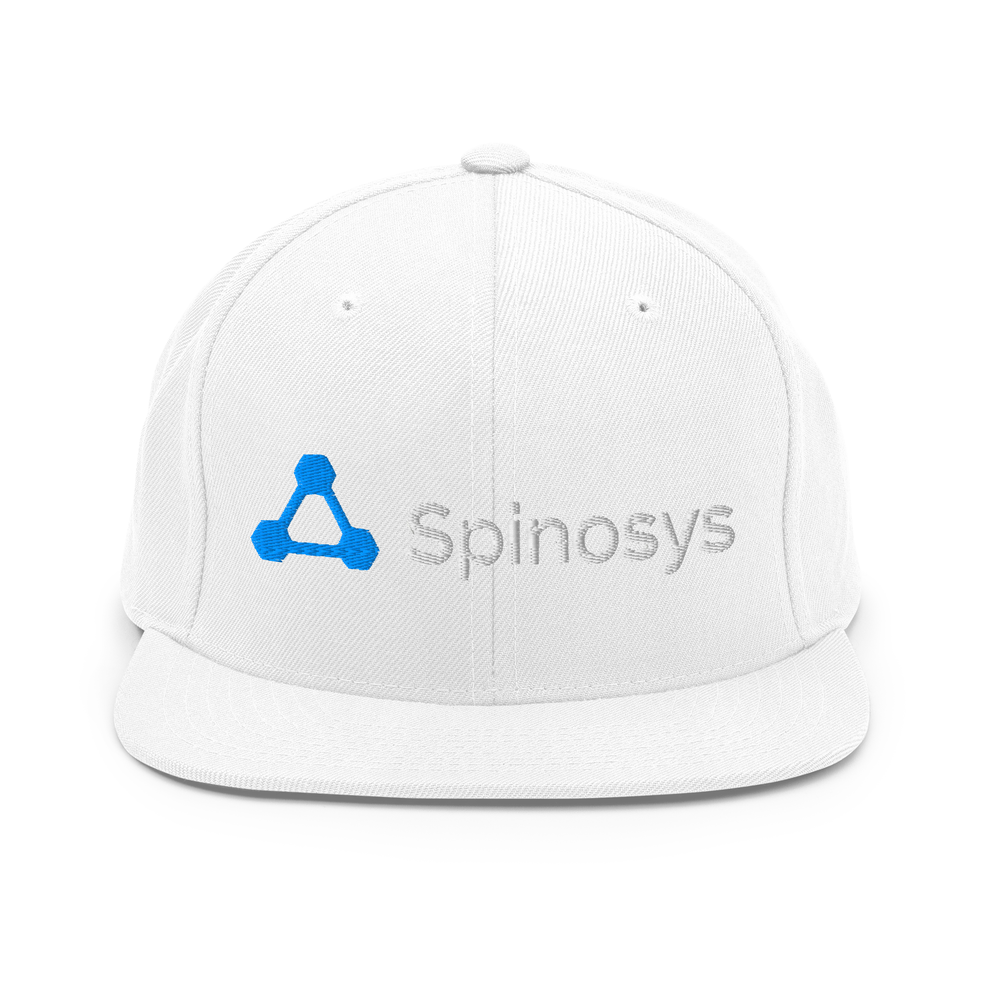 Classic Snapback | Yupoong 6089M