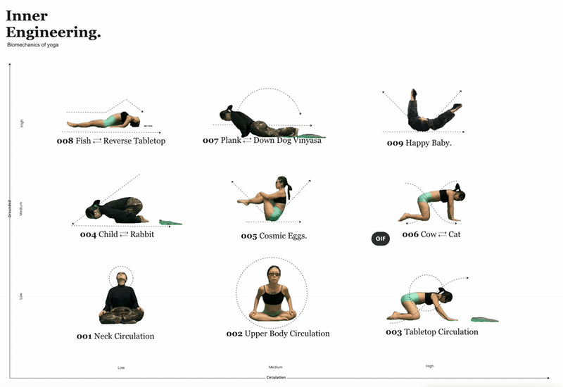 ALLYOGA GIF.gif