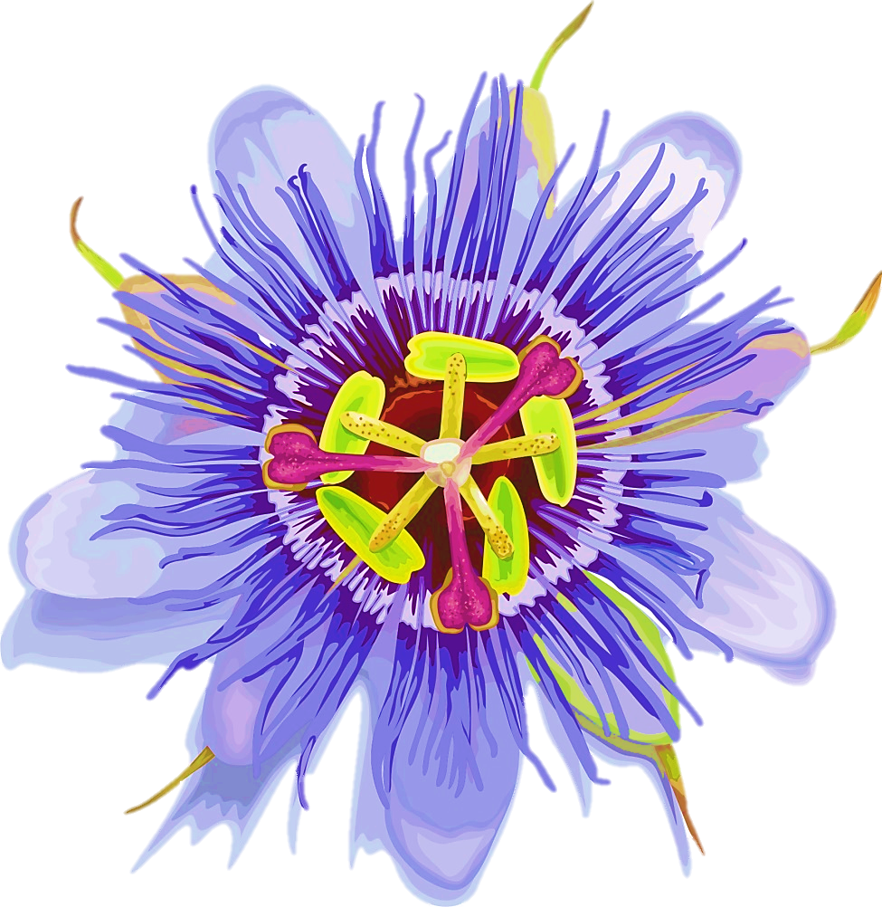 Passion Flowers Weddings Wedding Flowers West Yorkshire