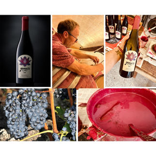 Définition d'un vin nature 