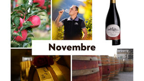 Vingt du mois : Novembre